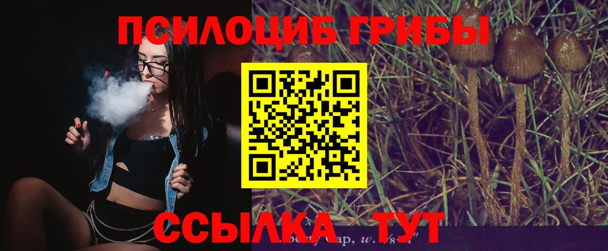 Новочебоксарск  магазин продажи наркотиков  Вход с VPN  Галлюциногенные грибы ЛСД  Галлюциногенные грибы мицелий 