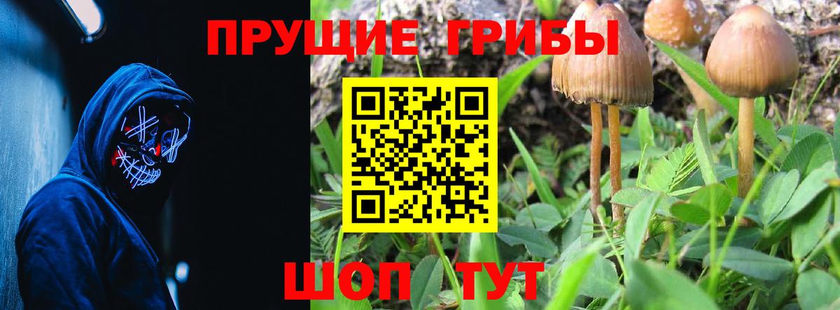 Галлюциногенные грибы Psilocybine cubensis Новочебоксарск