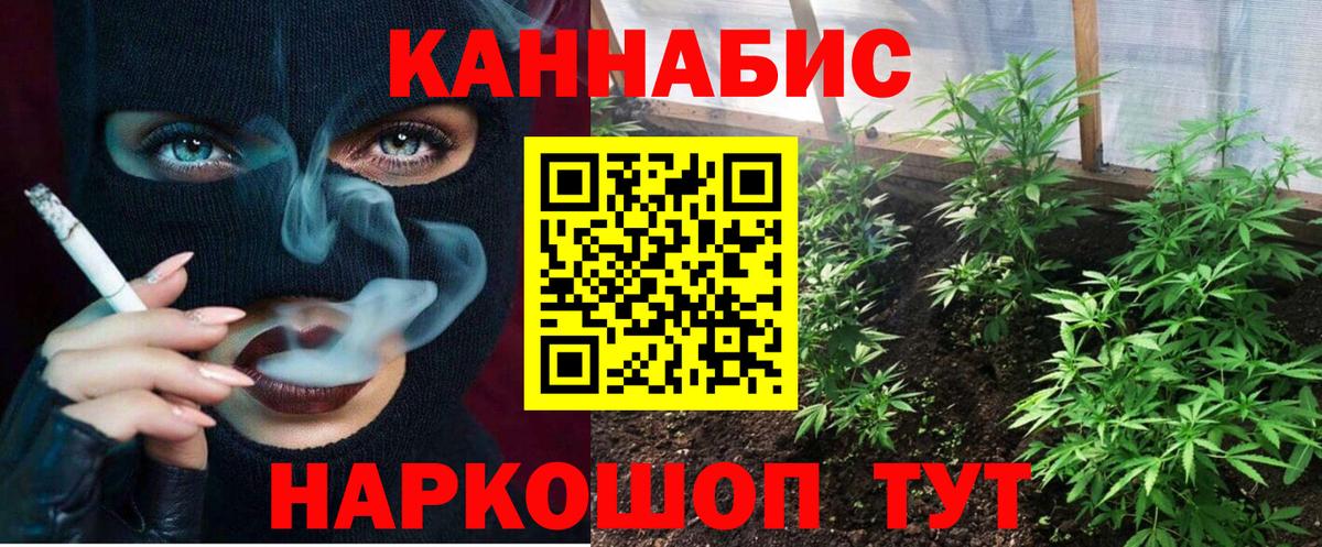 Каннабис план Новочебоксарск
